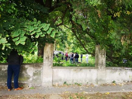 Scene macabre în Valea lui Mihai: Un bărbat a fost găsit mort, cu gâtul tăiat, într-un parc (FOTO)