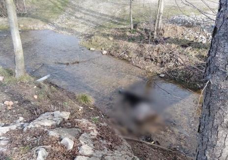 Un bărbat de 46 de ani, găsit mort într-o vale din satul Corniţel