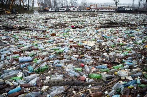 După ce Ungaria ne-a bătut obrazul, Ministerul Mediului atrage atenţia primarilor: Aveţi obligaţia să curăţaţi cursurile de apă!