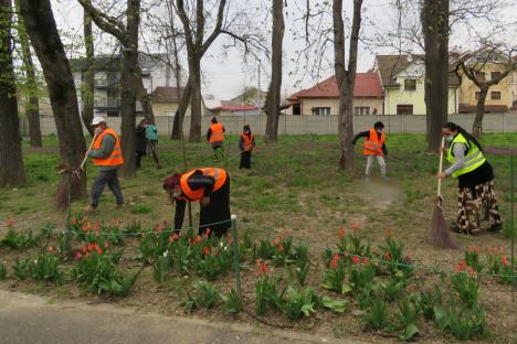 'Nu munceşti, nu primeşti'. 60 dintre cei 340 de beneficiari de cantină sau ajutor social fac curăţenie în Oradea (FOTO)