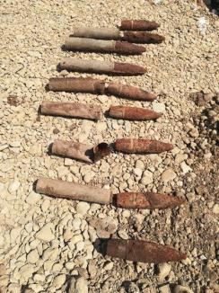 Nouă proiectile de artilerie şi o bombă au fost descoperite în Bihor în ultimele zile (FOTO)
