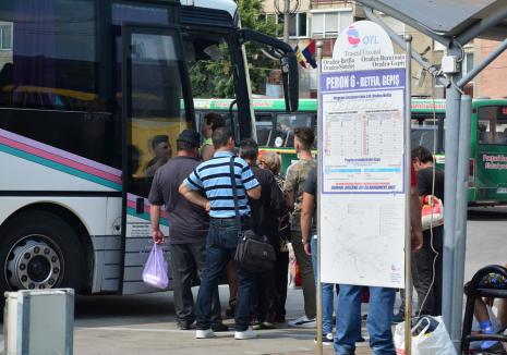 Transportatori noi pe 52 de trasee din Bihor. Cel mai scump abonament costă aproape 800 lei