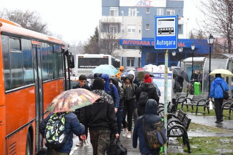 Trasee prelungite și mai multe stații de autobuz la dispoziția navetiștilor din Bihor