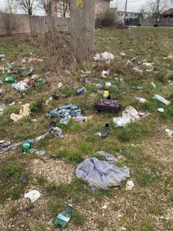 Ne enervează: Orădenii de pe strada Apateului se plâng că-i invadează gunoaiele (FOTO)