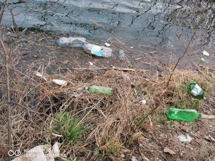 Ne enervează: În Oradea, malurile Crişului Repede sunt pline de gunoaie (FOTO)