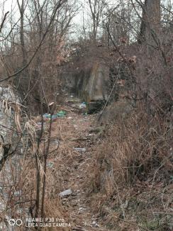 Ne enervează: În Oradea, malurile Crişului Repede sunt pline de gunoaie (FOTO)