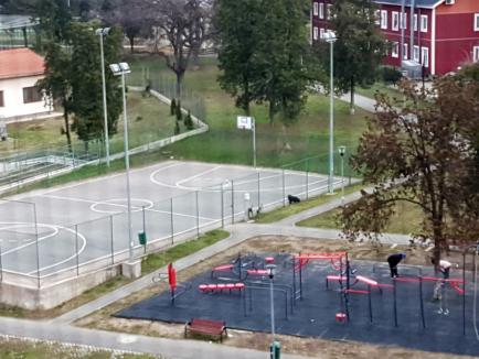 Ne enervează: În Parcul Liniştii din Oradea, copiii joacă baschet în 'rahat' de câini (FOTO)