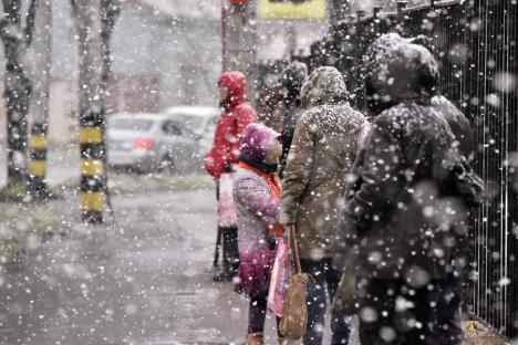 Zăpadă de primăvară: A nins ca în poveşti la finalul lui martie în Oradea (FOTO)