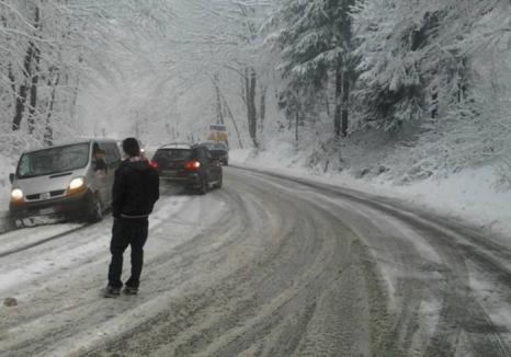 Primul cod galben de ninsori în Bihor, în zonele montane!