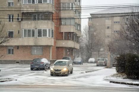 Oradea albă: Ninsoarea viscolită a scos utilajele RER pe străzi (FOTO)