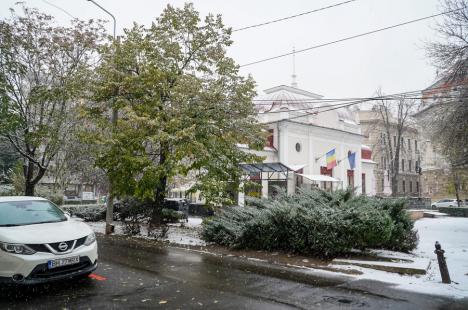 Ninsoare în Oradea: Utilajele RER Vest au ieșit în forță pe străzi (FOTO)