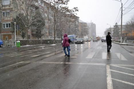 Ninsoare peste Oradea: Utilajele şi muncitorii RER au ieşit la deszăpezit (FOTO)
