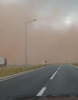 Fenomen bizar la Sântandrei: Nor de praf, vizibil de la kilometri depărtare (FOTO/VIDEO)