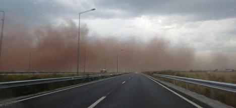 Fenomen bizar la Sântandrei: Nor de praf, vizibil de la kilometri depărtare (FOTO/VIDEO)