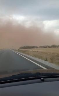 Fenomen bizar la Sântandrei: Nor de praf, vizibil de la kilometri depărtare (FOTO/VIDEO)