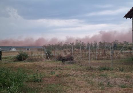 Fenomen bizar la Sântandrei: Nor de praf, vizibil de la kilometri depărtare (FOTO/VIDEO)