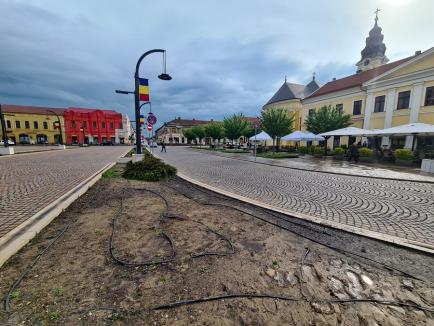 Ne enervează: Până şi spaţiile verzi cedează în Piaţa Unirii din Oradea (FOTO)