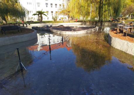 Nufăr salvat: Cum au reuşit cercetătorii Universităţii din Oradea să 'resusciteze' floarea-simbol a Bihorului (FOTO)