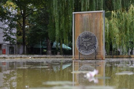 Nufăr reînviat: Cercetătorii Universităţii din Oradea au reuşit să aclimatizeze planta în campus (FOTO)