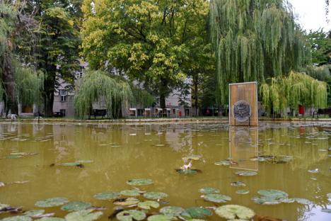 Nufăr reînviat: Cercetătorii Universităţii din Oradea au reuşit să aclimatizeze planta în campus (FOTO)