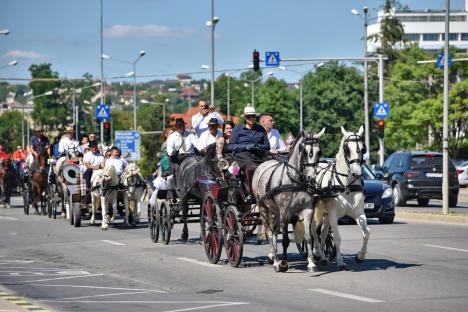 Nuntă cu alai de trăsuri în Oradea. Mireasa și mirele, într-o caleașcă trasă de patru lipițani și condusă de un campion (FOTO/VIDEO)