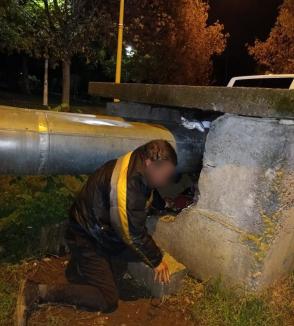 Magnetul Oradea: Poliția Locală a ridicat o mulțime de persoane fără adăpost de pe străzi, unele prinse la cerșit (FOTO)