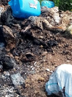 Cunoscutul producător de mezeluri Andromi, amendat de Garda de Mediu Bihor pentru că ar fi ars oase în Nojorid. Patronul va contesta sancţiunea (FOTO / VIDEO)