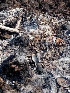 Cunoscutul producător de mezeluri Andromi, amendat de Garda de Mediu Bihor pentru că ar fi ars oase în Nojorid. Patronul va contesta sancţiunea (FOTO / VIDEO)