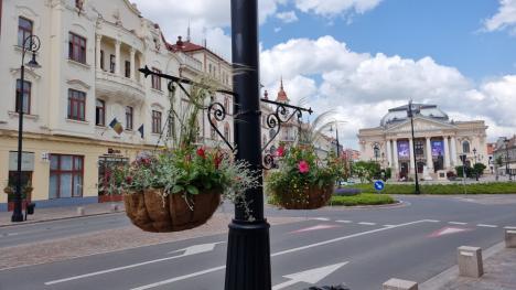 „Oradea in bloom”: Primăria decorează centrul orașului cu flori și ghivece suspendate de 45.000 de euro (FOTO)
