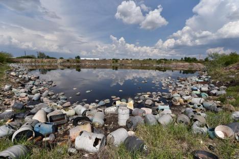 Oradea intoxicată: Două lacuri toxice băltesc lângă oraș, iar autoritățile nu fac nimic pentru ecologizarea zonei (FOTO)