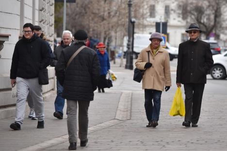 Începe Recensământul populaţiei: Cum se pot bihorenii autorecenza online