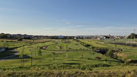 Oradea verde... și nu prea: Primăria cumpără mii de puieți, fără a ști unde vor fi puși și dacă sunt soiurile potrivite (FOTO)