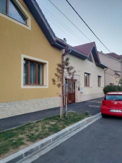 Oradea verde... și nu prea: Primăria cumpără mii de puieți, fără a ști unde vor fi puși și dacă sunt soiurile potrivite (FOTO)