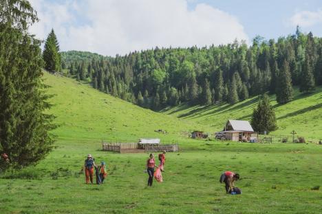 Curăţenie în Padiş. Voluntarii vor să strângă gunoaiele aruncate în avene şi doline din Munţii Apuseni