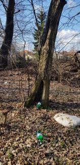 Ne enervează: Pădurea din Felix, distrusă de şoferii cu ATV-uri şi plină cu gunoaie (FOTO)