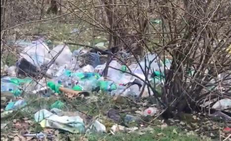 O pădure din Bihor, groapă de gunoi pentru unii. Primarul spune că se aruncă atât de multe deşeuri încât nu reuşeşte să le cureţe (VIDEO)
