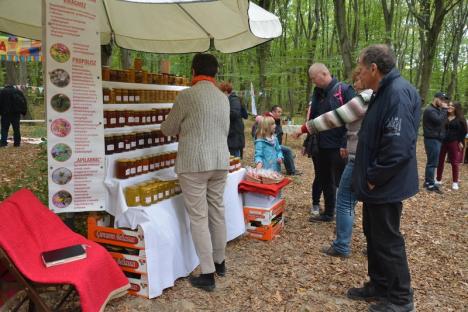 A 'cântat' pădurea din Băile 1 Mai (FOTO / VIDEO)