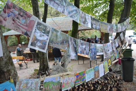 A 'cântat' pădurea din Băile 1 Mai (FOTO / VIDEO)