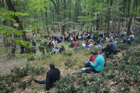 A 'cântat' pădurea din Băile 1 Mai (FOTO / VIDEO)