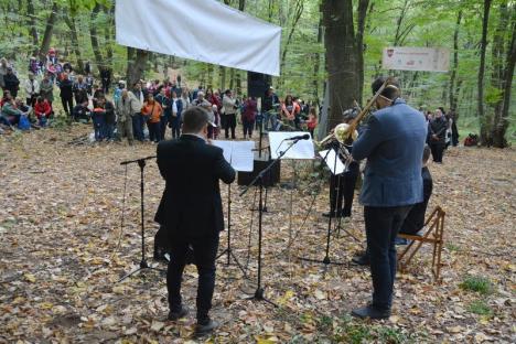 A 'cântat' pădurea din Băile 1 Mai (FOTO / VIDEO)