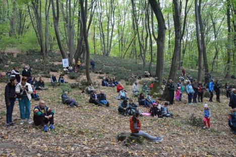 A 'cântat' pădurea din Băile 1 Mai (FOTO / VIDEO)