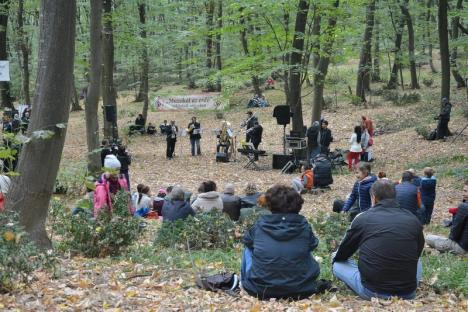 A 'cântat' pădurea din Băile 1 Mai (FOTO / VIDEO)