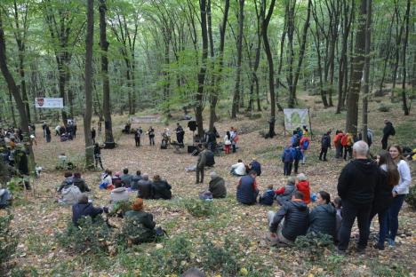 A 'cântat' pădurea din Băile 1 Mai (FOTO / VIDEO)