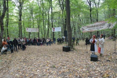 A 'cântat' pădurea din Băile 1 Mai (FOTO / VIDEO)