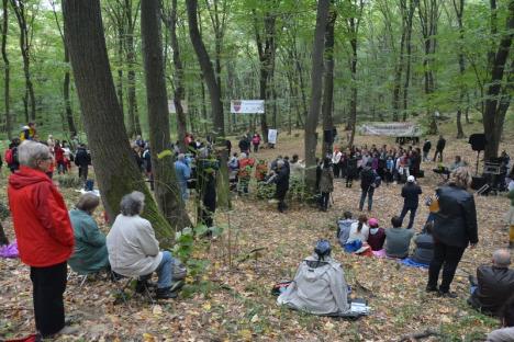 A 'cântat' pădurea din Băile 1 Mai (FOTO / VIDEO)