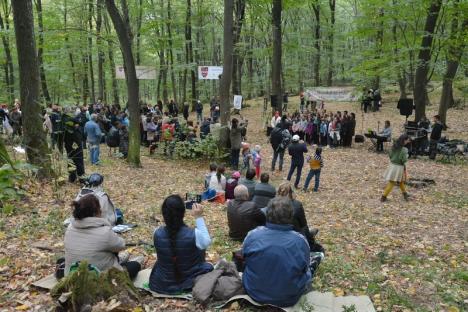 A 'cântat' pădurea din Băile 1 Mai (FOTO / VIDEO)