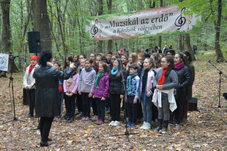 A 'cântat' pădurea din Băile 1 Mai (FOTO / VIDEO)