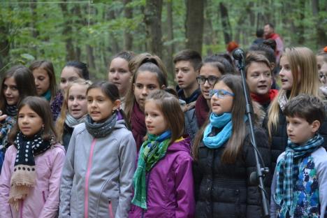 A 'cântat' pădurea din Băile 1 Mai (FOTO / VIDEO)