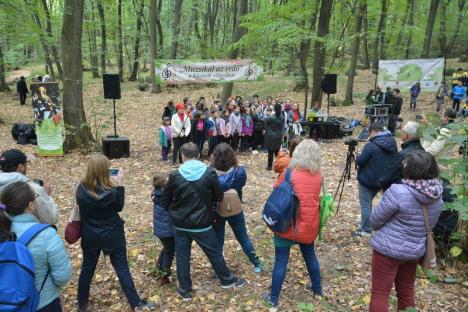 A 'cântat' pădurea din Băile 1 Mai (FOTO / VIDEO)