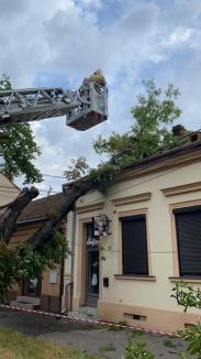 Urmările furtunii: Pensiune lovită de trăsnet în Şişterea, copaci doborâţi în Oradea (FOTO / VIDEO)